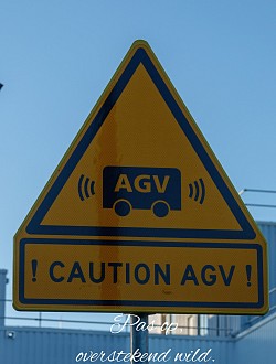 Overstekend wild?