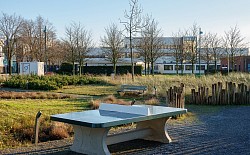 Voor de broodnodige ontspanning een tafeltennistafel buiten. Toch een hoop gemist vroeger.
