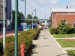 De weg naar de blister verpakking afdeling.